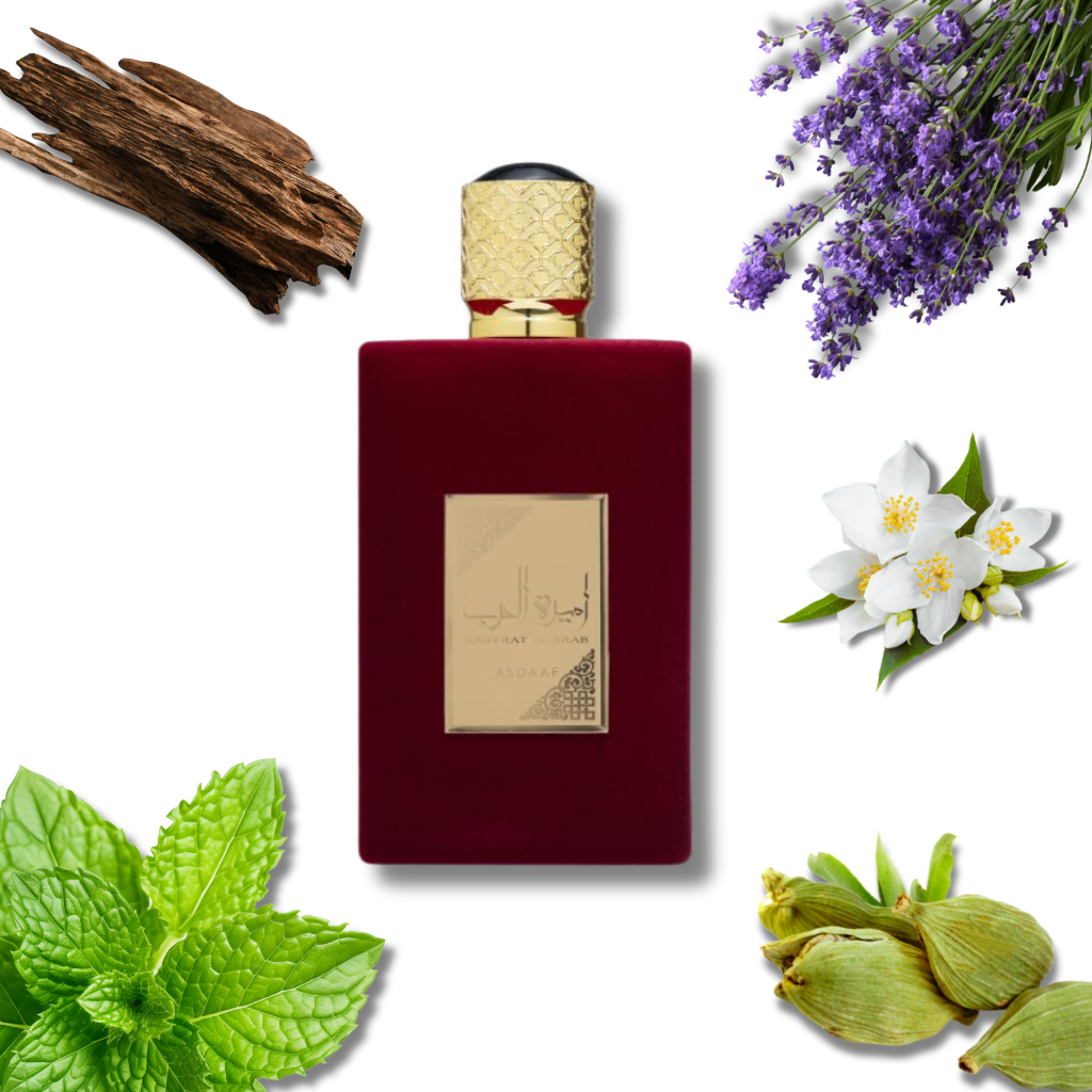 Asdaaf Ameerat Al Arab – Eau de Parfum (100 ml)