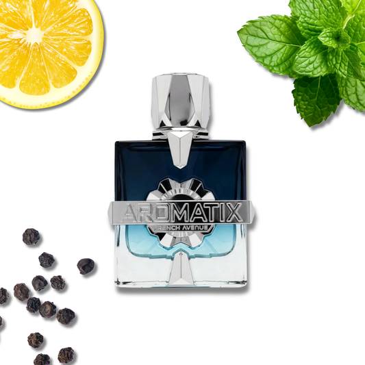 French Avenue Aromatix Frostbite – Extrait de Parfum (100 ml)