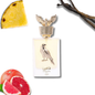 Lattafa Pride Shaheen Gold – Eau de Parfum (100 ml)