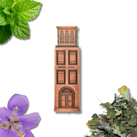 Niche Emarati Vintage Castle – Eau de Parfum (100 ml)