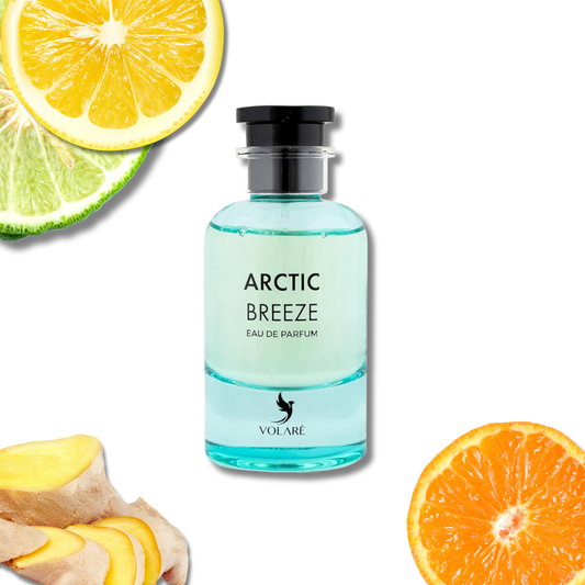 Volare Arctic Breeze – Eau de Parfum (100 ml)